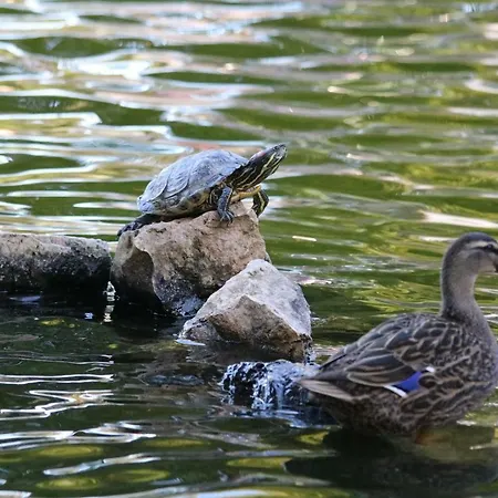 Apartamento Cascais 400 M From