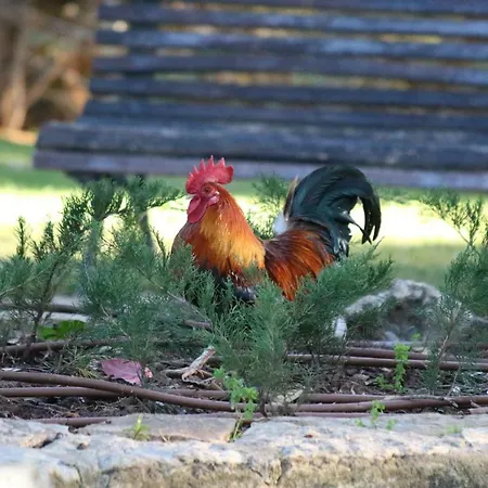 Apartamento Cascais 400 M From Estoril