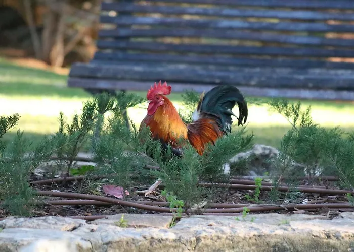 Lejlighed Cascais 400 M From Estoril